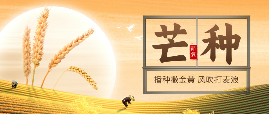 手机av在线|日韩中文字幕