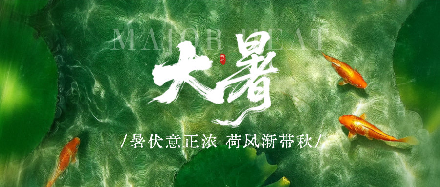 手机av在线|日韩中文字幕